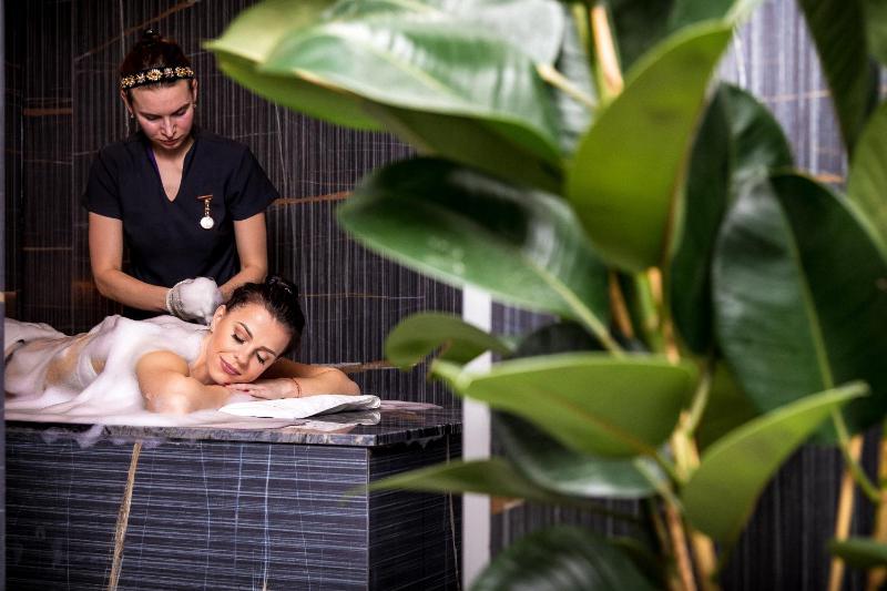 Amsterdam Plaza Hotel & SPA - image 8