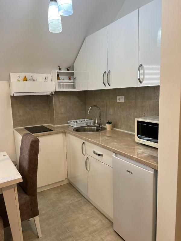 Milka apartman Sokobanja - image 2