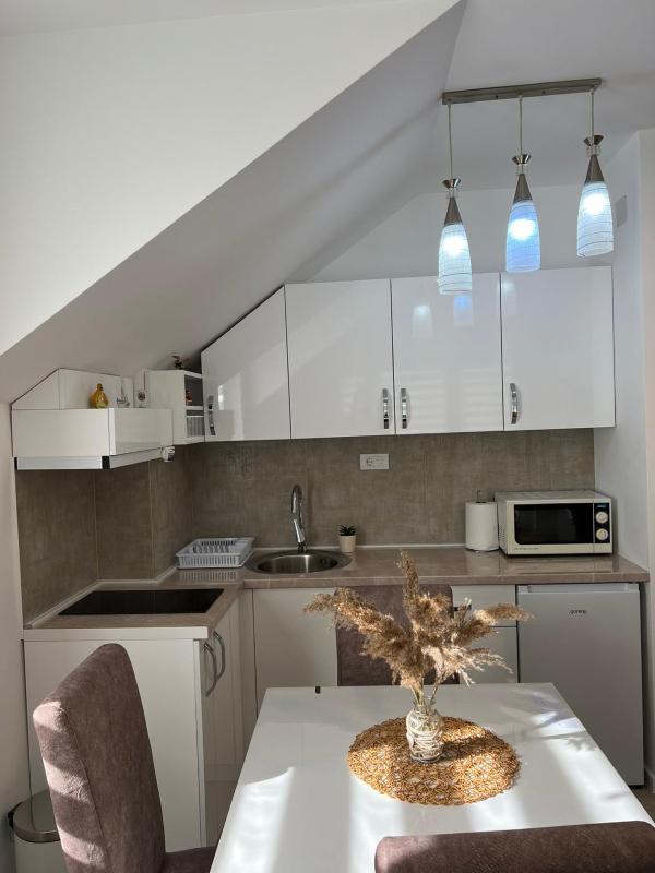 Milka apartman Sokobanja - image 14