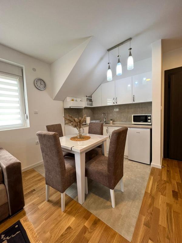 Milka apartman Sokobanja - image 11