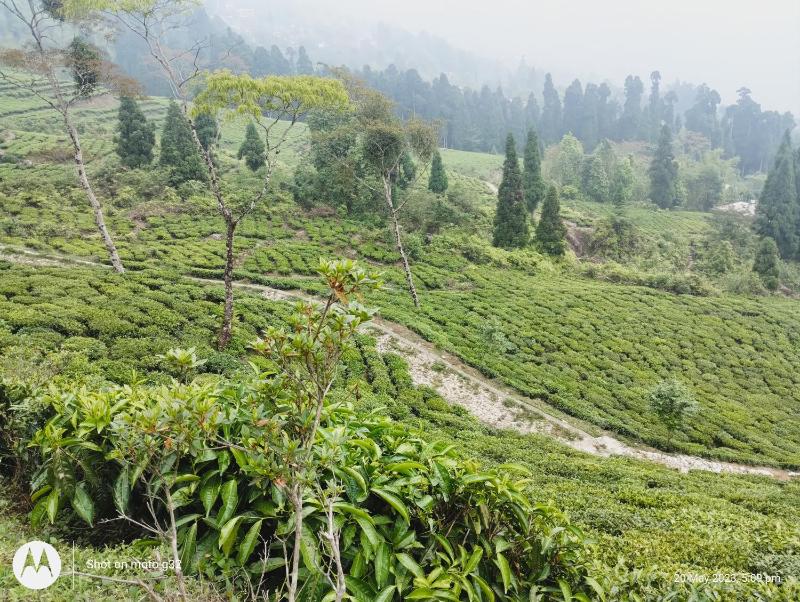 Meera homestay - image 6