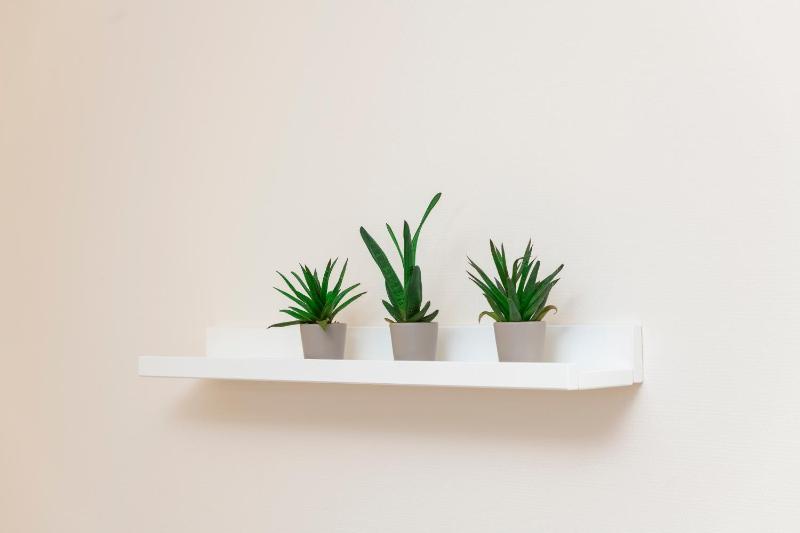 Double Room with Lake View image 2