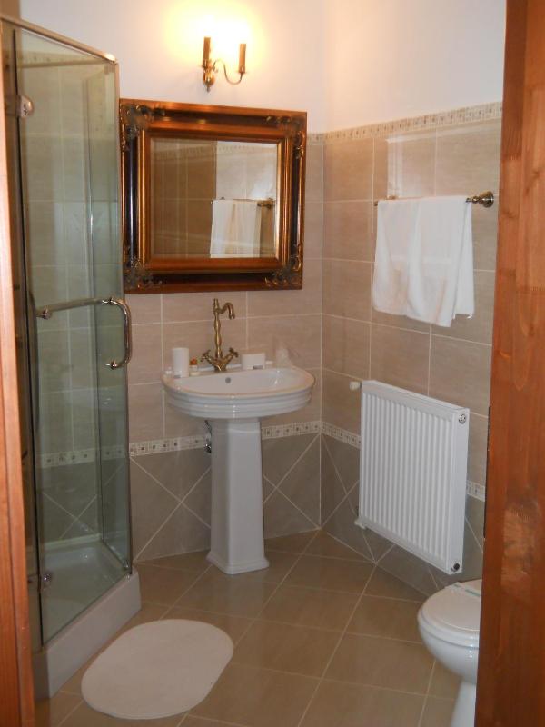 Single Room image 2