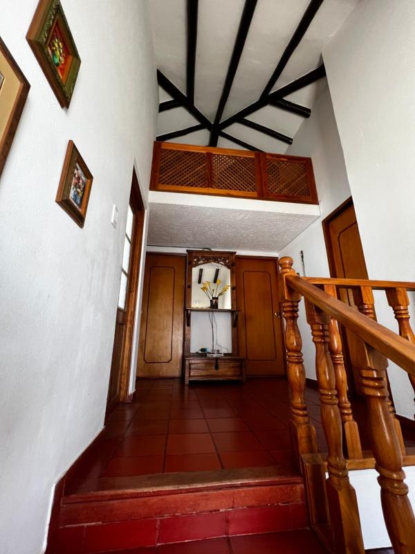 Amalú - image 10