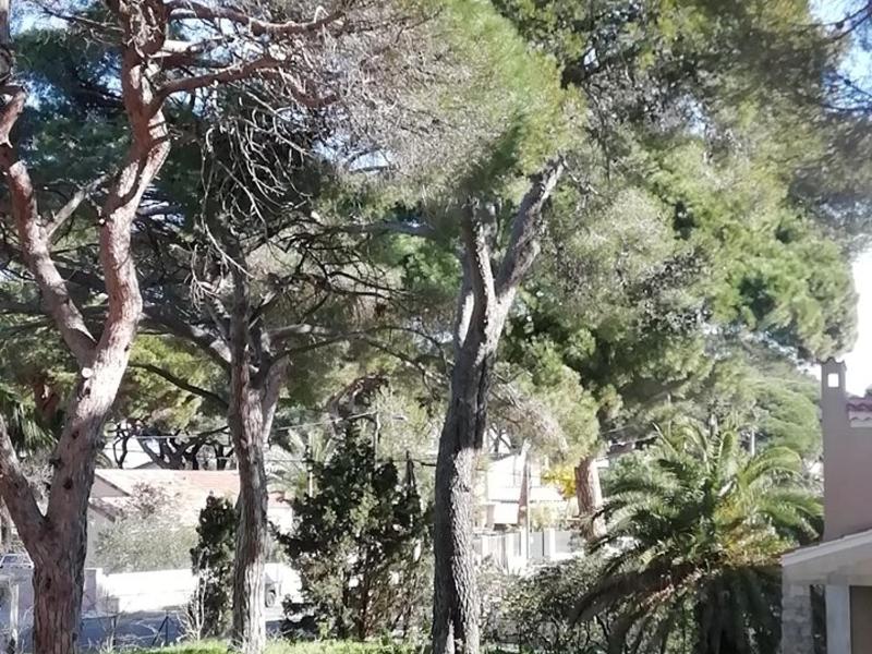 Charmant Studio a Hyeres Proche Plage et Port Parking et WIFI Inclus - FR-1-335-200 - image 1