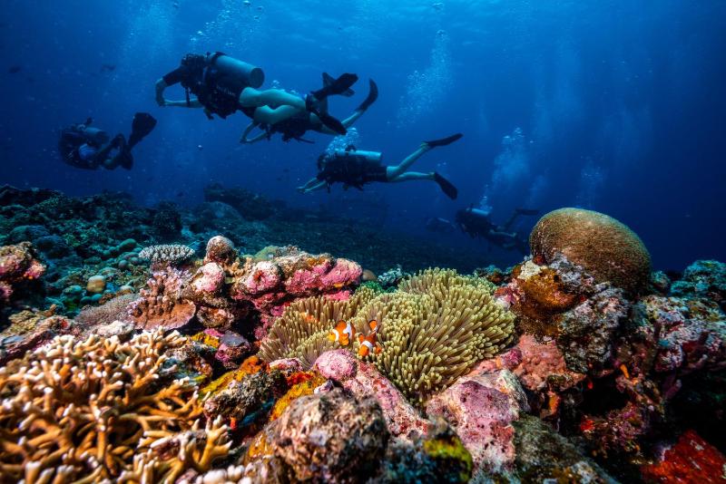 Trawangan Dive Centre - image 22
