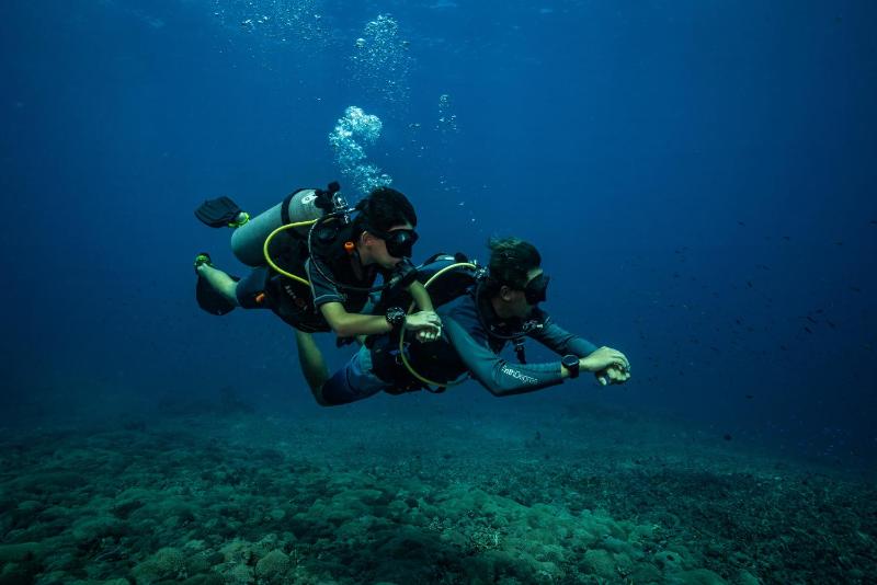 Trawangan Dive Centre - image 6