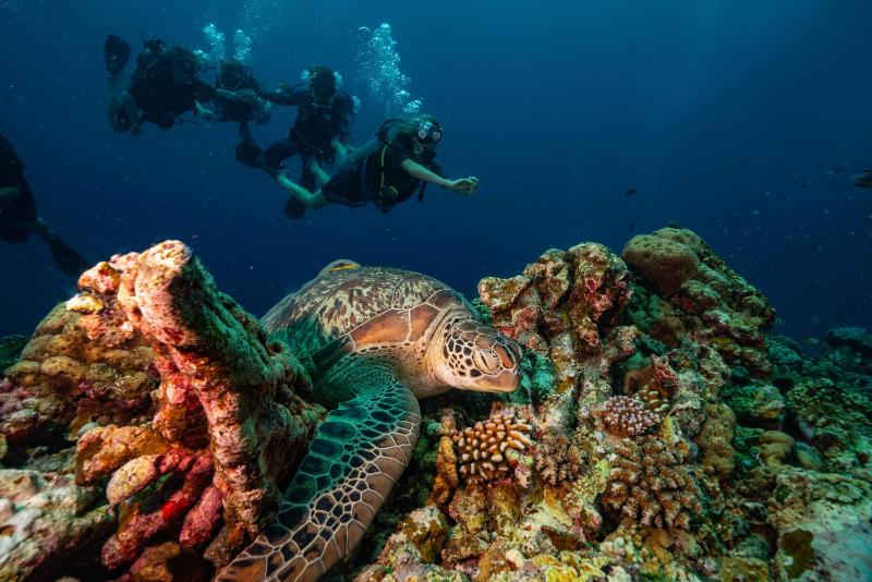 Trawangan Dive Centre - image 36