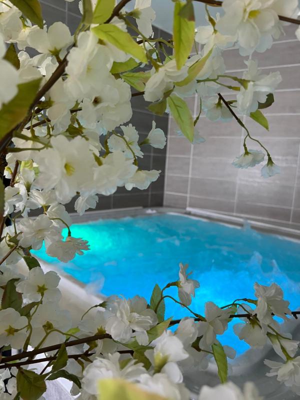 Hôtel Calme Des Pins & Spa - image 31