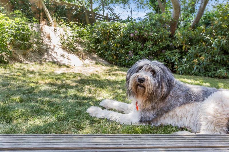 Three-Bedroom House image 2