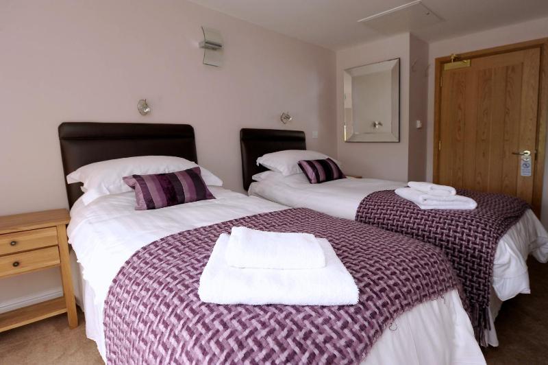 Deluxe Twin Room image 2