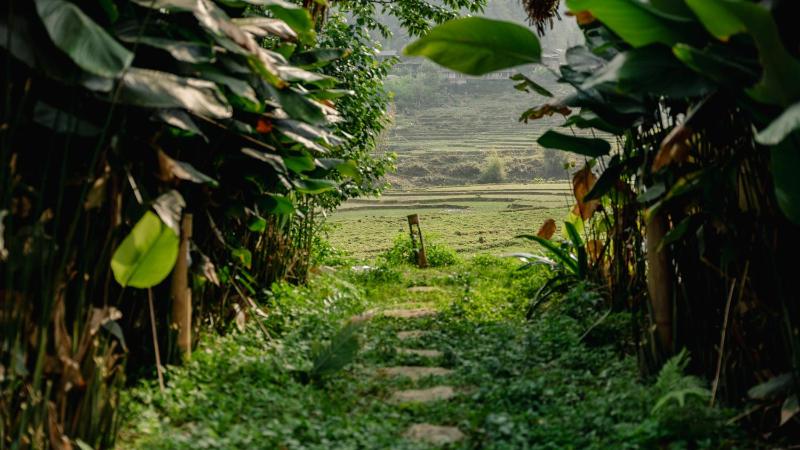 Sapa Eco Homestay - image 19