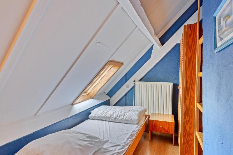 Albatros 25 P101 - image 10