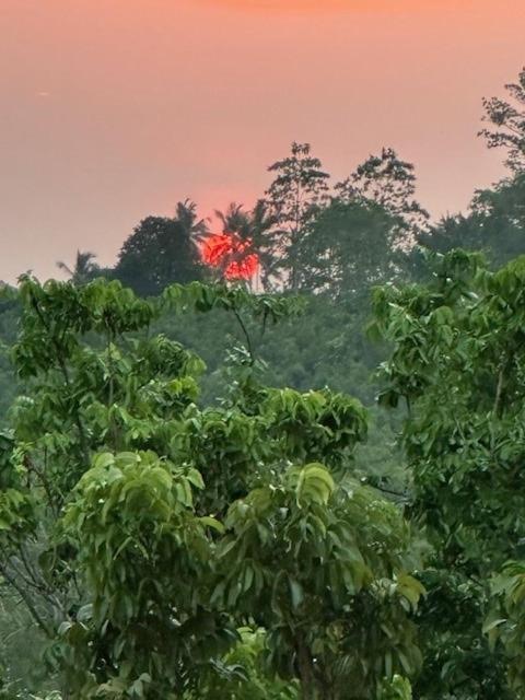 Karisa Nature Villa - image 2