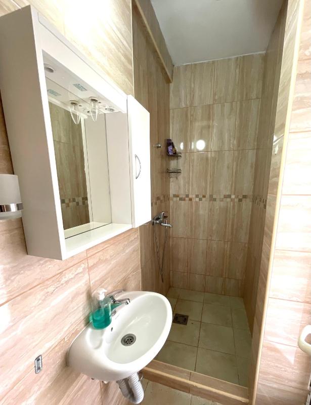 One-Bedroom Apartment image 2