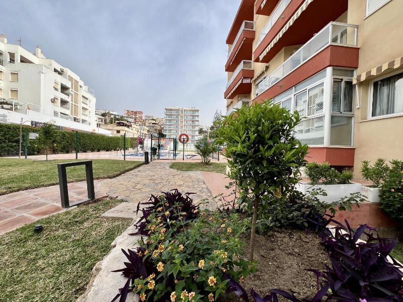 Las Palomas Beach - image 13