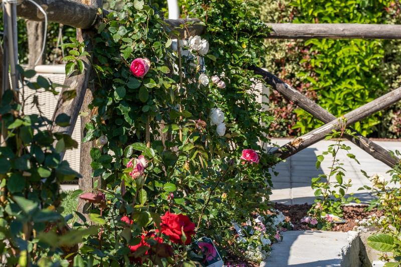 Estate4home - Dimora delle Rose - image 45