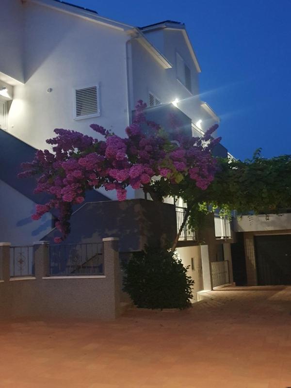 Apartment Bozovic - image 4