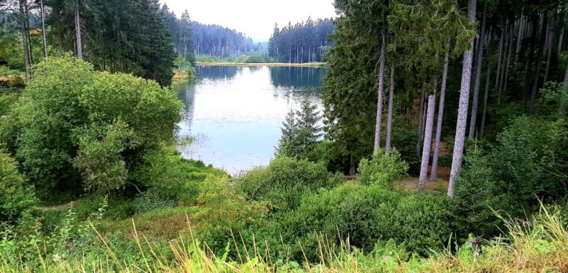 Chill Out Apartment Bergblick - image 10