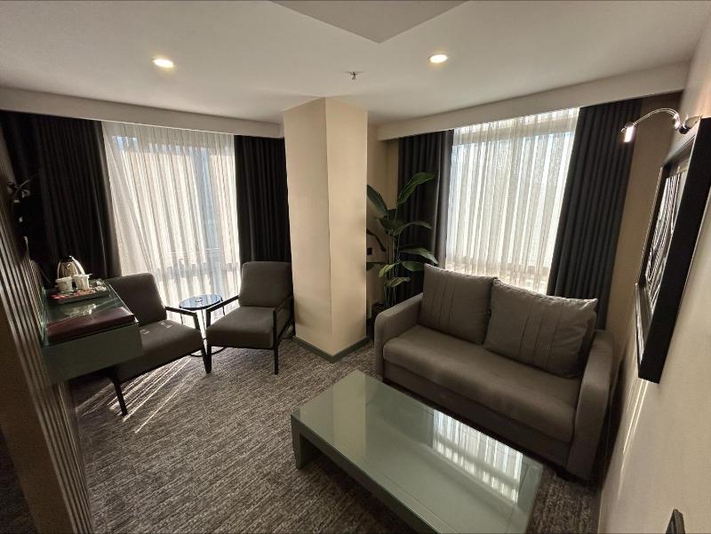 Suite with City View image 3