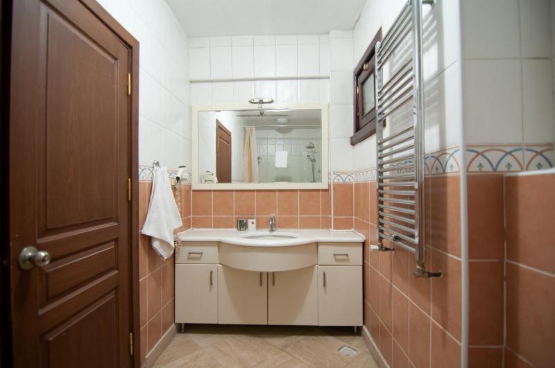 Deluxe King Suite image 2