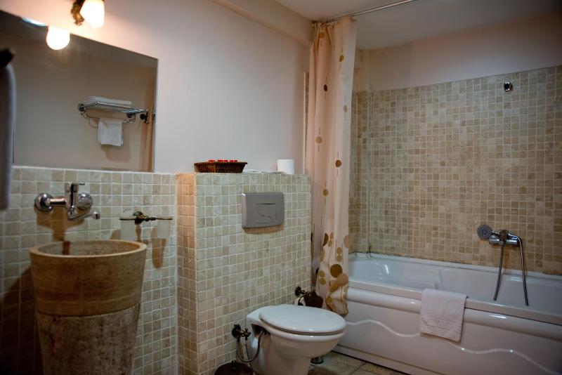 Deluxe Suite image 4
