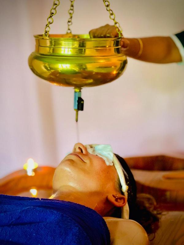 Ayurgem Ayurveda Yoga and Wellness Retreat Munnar - image 19