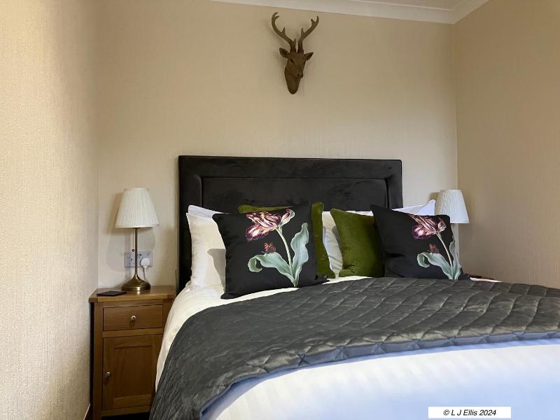 En Suite Double Room with Woodland/Loch View image 4