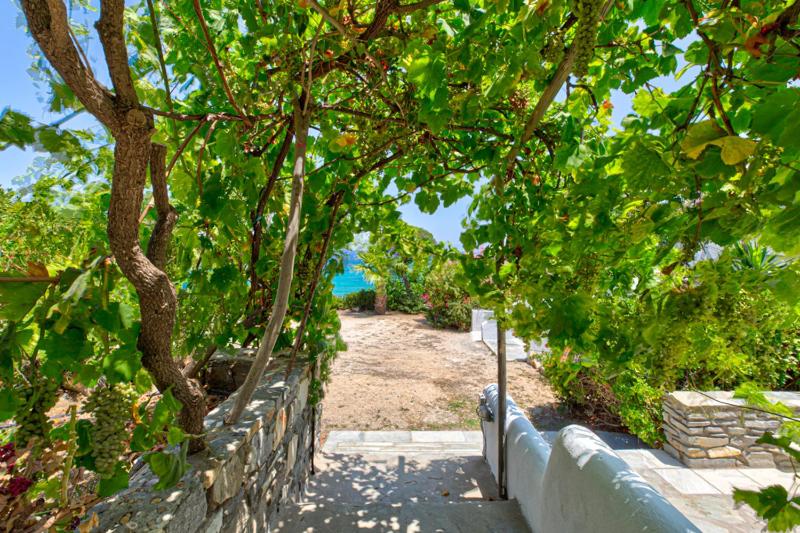 Paros Blue Dolphin FULLY RENOVATED by RIVEA GROUP - image 33