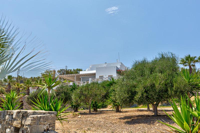 Paros Blue Dolphin FULLY RENOVATED by RIVEA GROUP - image 30
