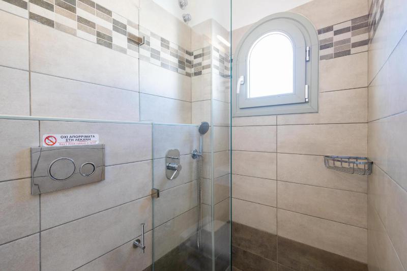 Large Single Room image 3