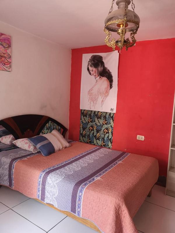 Hostel Viajeros Arequipa - image 15