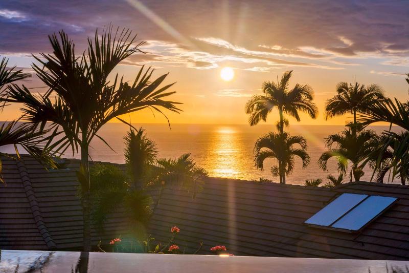 Blue Hawaii - image 13
