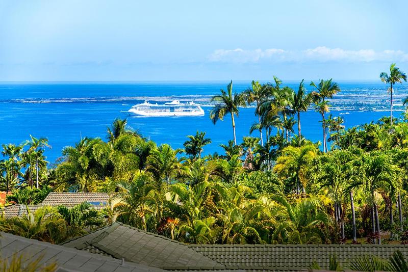 Blue Hawaii - image 39