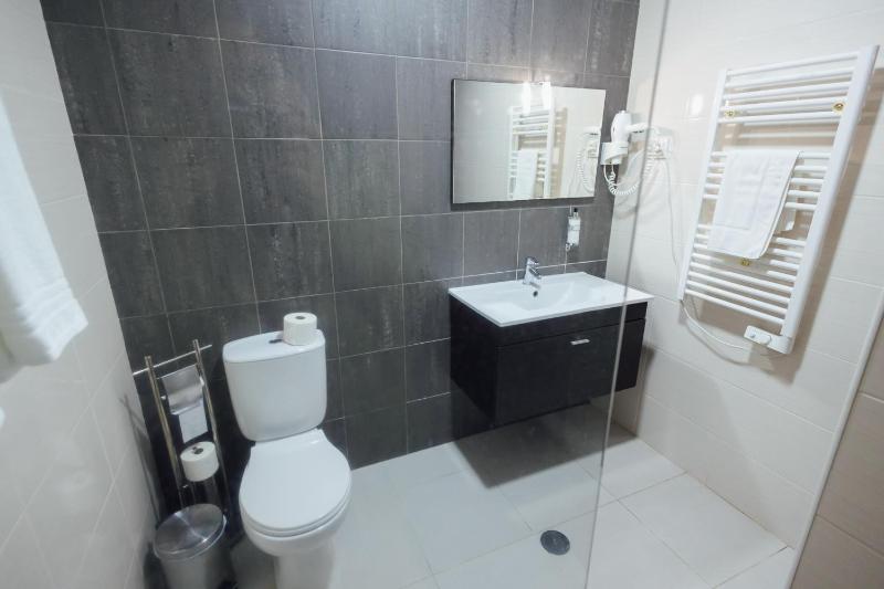 One-Bedroom Apartment image 3