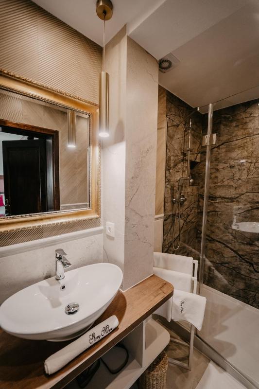 Premium Room image 2