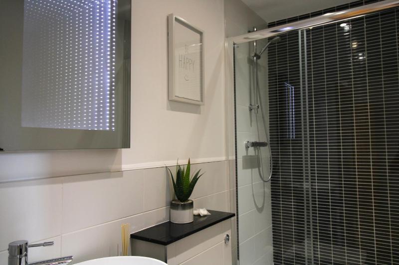 One-Bedroom Apartment image 3