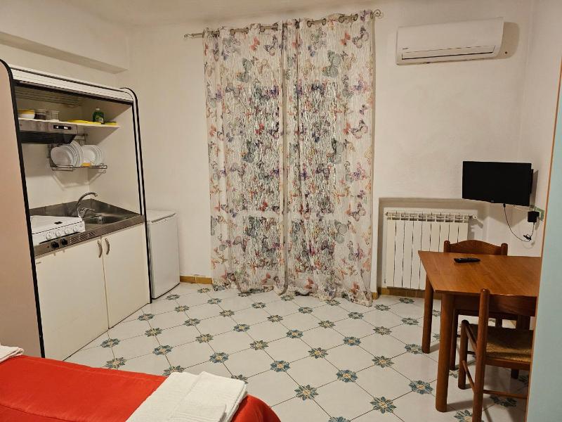 Studio with Garden View image 4
