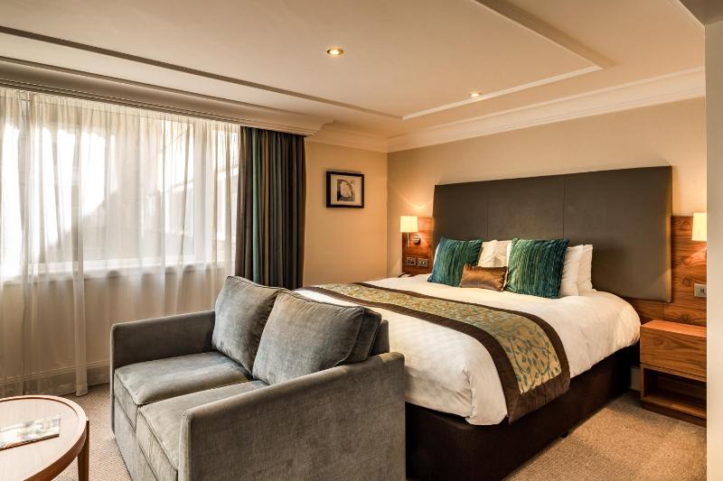 Executive King Room image 2