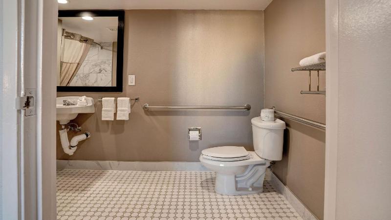 Queen Room - Disability Access - Roll in Shower image 3