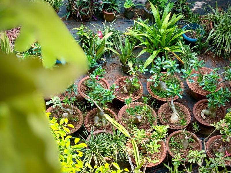 Gloria Homestay Thrissur - image 23