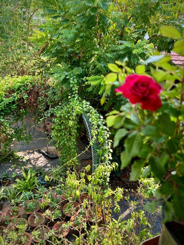 Gloria Homestay Thrissur - image 18