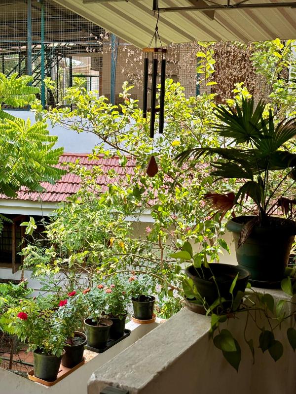Gloria Homestay Thrissur - image 13
