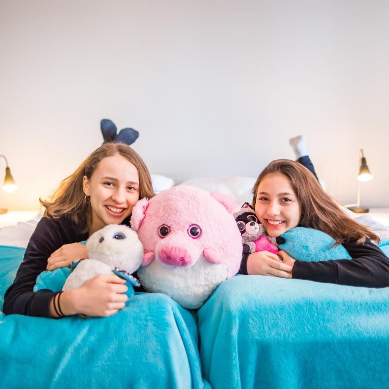 Superior - Suuri yhden makuuhuoneen huoneisto (6 aikuista) image 1