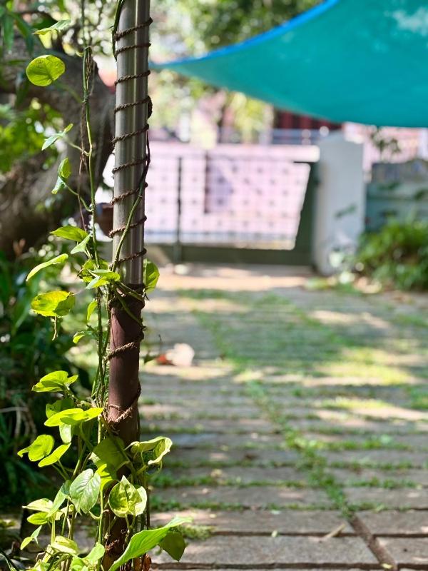 Gloria Homestay Thrissur - image 26