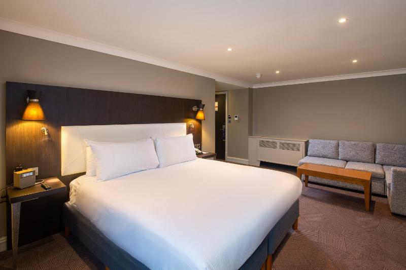 Junior King Suite image 1