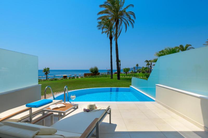 Executive Room with Private Pool  image 3