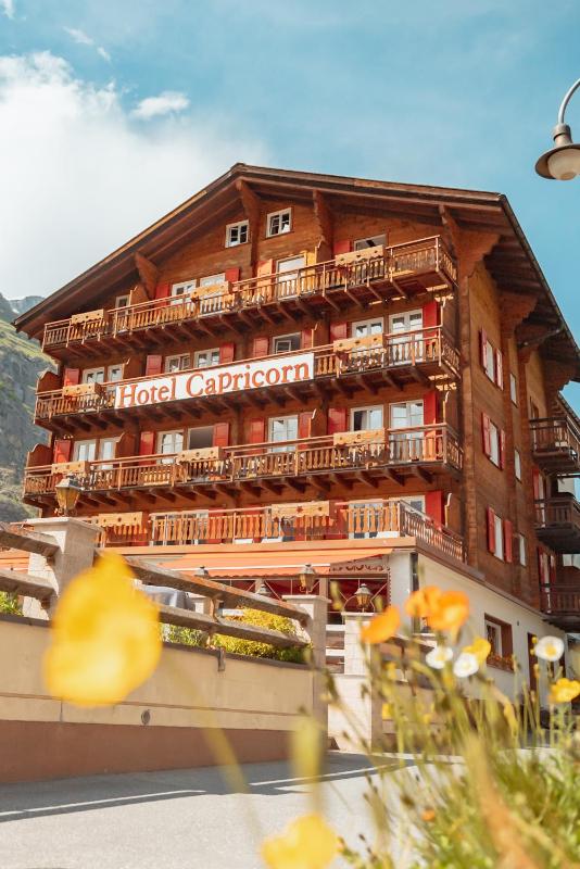 Hotel Capricorn - image 1