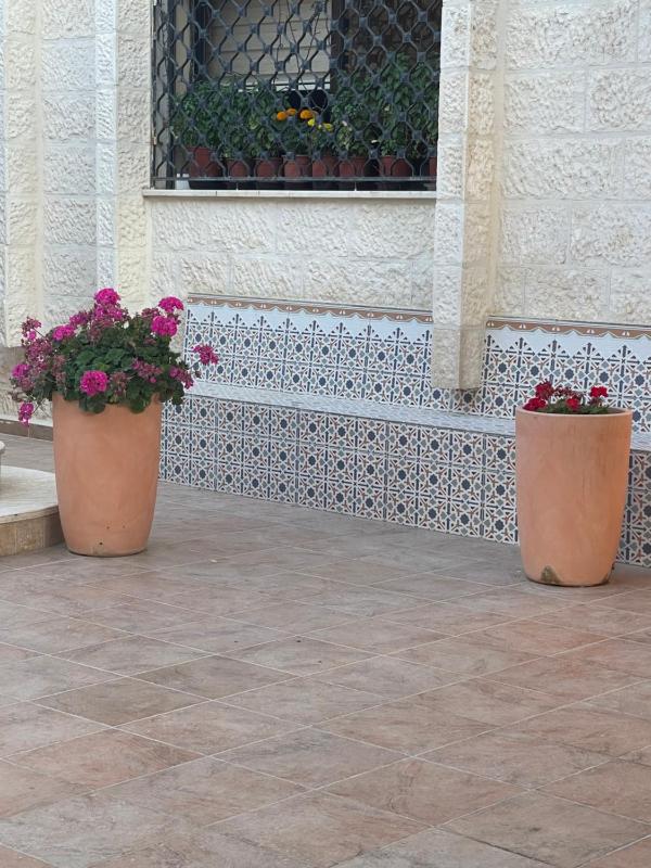 Beautiful & Cozy Newly remodeled 2 Bedroom - image 12