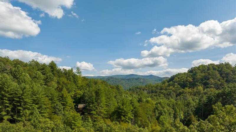 Black Bear Falls - image 1